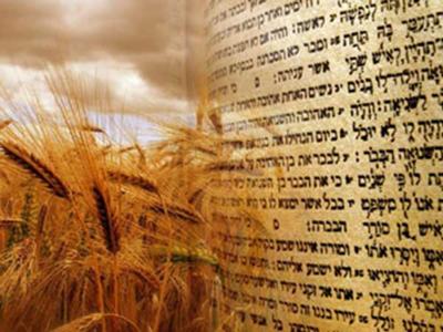 Closed | Shavuot (1st Day)