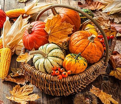 Closed | Thanksgiving Holiday