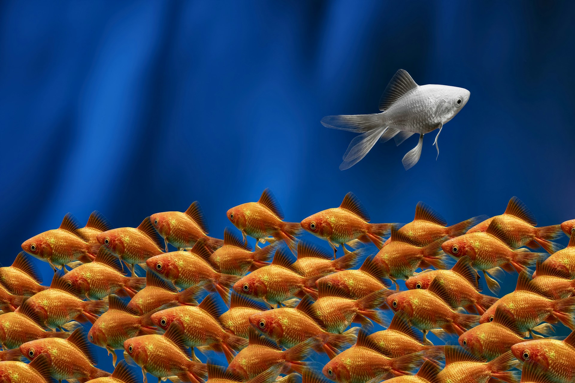  The Jewish Formula for Resisting the Crowd