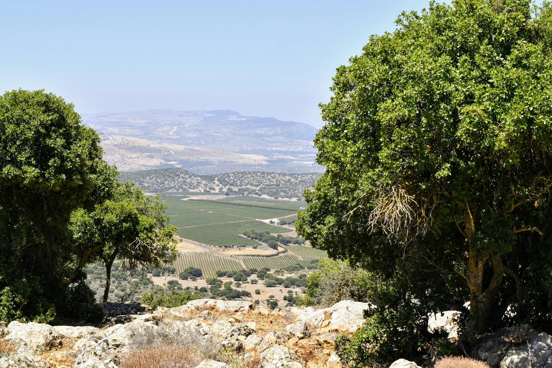 Go Forth (Lech Lecha) to the Land: For What Purpose?